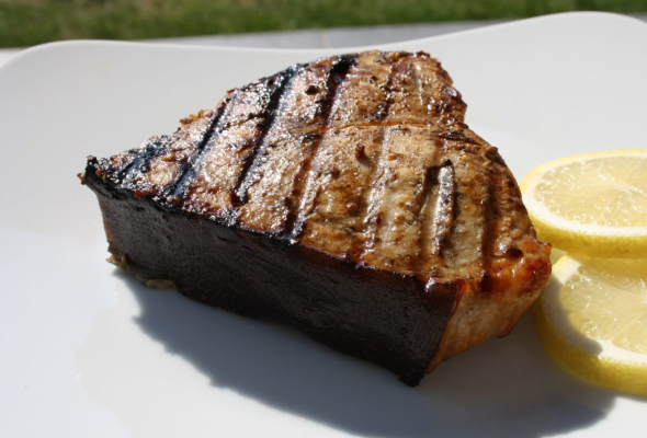 Steak de thon frais grillé