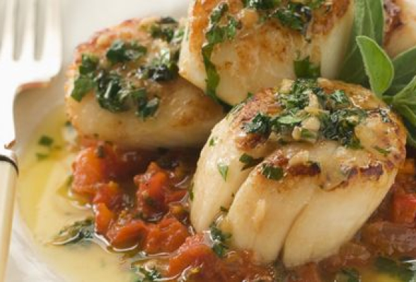 Noix de St Jacques à la provençale