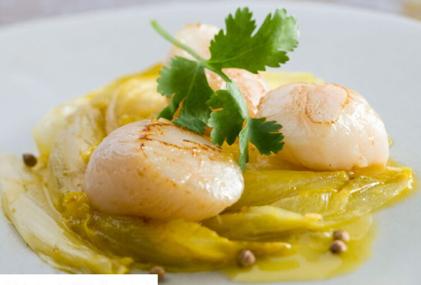 Noix de St Jacques à l'effilochée d'endives