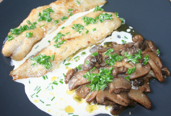 Blanc de mérou sauce crème poivre vert ou crème champignon
